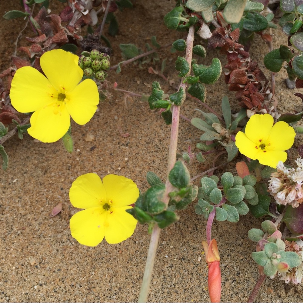 Meet your Posher, Closet